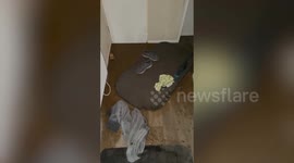 Home filled with poo after sewage spewed out of family's loo