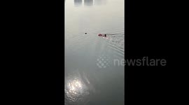 Brave delivery man leaps into water to rescue drowning person in Southern China