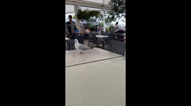 Footless Seagull