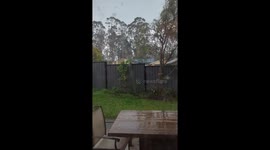 Storm Steals A Fence