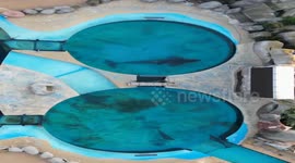 Social Media users slam aquarium park after Orca spotted swimming in tiny 'horrifying' pool (Pt 2)