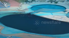Social Media users slam aquarium park after Orca spotted swimming in tiny 'horrifying' pool (Pt 1)