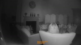 Jampress_Ghost_Pulling_Hair_14112023.MP4