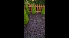 Brit splashes £5,000 on ‘extreme’ Christmas display – including 10,000 lights and 150 figurines (pt 3)