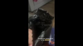 Vinted shopper left in stitches after Halloween costume arrives in Aldi cereal box