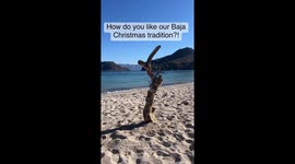 Couple living ‘debt-free’ in tiny home on wheels reveal how they spend Christmas – including foraging for decorations