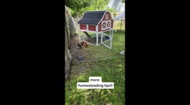 Doomsday ‘prepper’ with BUNKER spends £61,000 on supplies to get ready for war (Part 2)