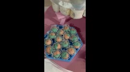 Woman who married rag doll hosts emotional gender reveal for their second rag doll child with 40 guests (part 2)