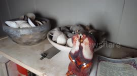 Time capsule home discovered – with hundreds of records from ONE band (Pt 3)