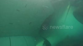US Navy Survey Aircraft That Overshot Hawaii Runway