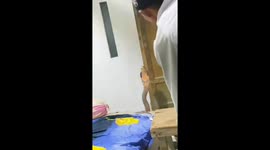 Snake charmer lures three-metre-cobra out of family's living room