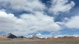 Nature thrives in Xinjiang's mountain reserve amid enhanced conservation efforts