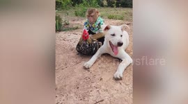 Furry friends: Pet monkey rides on back of dog and removes fleas from chicken