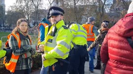Just Stop Oil stages another Parliament Square protest and again have members arrested
