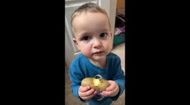 Munching On Raw Potato