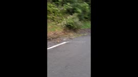 You Can't Park There