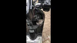 Playful kitten takes charge: motorbike key fun in Pasuruan, Indonesia