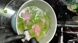 Vietnamese baker creates beautiful 3D flowers inside jelly cakes
