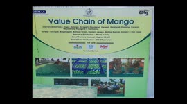 ORMAS and Mission Shakti Organized Mango Exhibition In Sambalpur Odisha