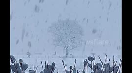 Watch as heavy snow falls in Grasmere, The Lake District, as winter takes hold