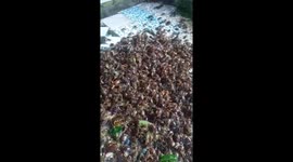 Thousands of crabs stuck in a man's fish tank after floodwaters receded