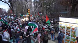 Pro-Palestinian protest in New York, NY, USA