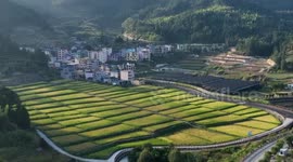 How grassroots investigations help with rural revitalization in China's Zhouning
