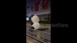 Giant 'runaway' panda made from balloons catches eye of locals in China