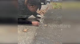 Pet Siberian Husky rescued from sewer drain in Kentucky