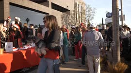 Corona del Mar Annual Christmas Walk in Newport Beach