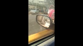 Dog Crosses the Street Like a Human