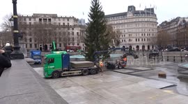 Trafalgar Square Christmas Tree installed in London for the 76th time