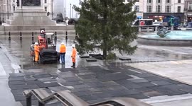Trafalgar Square Christmas Tree 2023 installed in central London after its journey from Norway