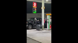 Pickup Packed Full of Pets
