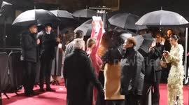 Body-painted activists protesting against leather usage disrupts UK Fashion Awards