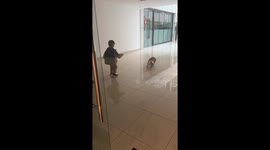 Child and pet corgi play football together in China