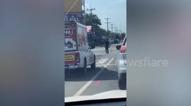 Delivery truck driver picks up dog from middle of road