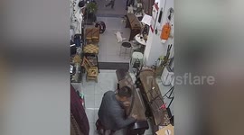 Cat stretches while listening to traditional Chinese instrument