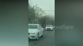 Driver tackles escaped ostrich to remove it from road in China