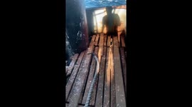 Albatross guides fishermen to hake bounty off Argentine coast