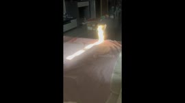 Kitten basks in stream of light shining through window