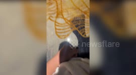 Guest soaked by water pouring from hotel room ceiling