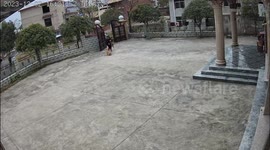 Man attacked by pet dog after failed attempt to tame the beast