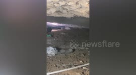 Rescue volunteers save stray dog stuck under collapsed building
