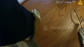 Emergency services rescue pet dog which was stuck in air vent