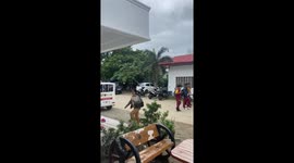 Food cart has model plane on roof with fan for propeller
