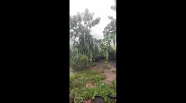 Walking during Heavy Rain in a  sambalpur Village in Odisha  Relaxing Rainy Day Walking  , village life