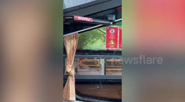 Green snake slithers across coach windows before passengers board