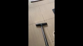 Cat Loves the Vacuum Cleaner