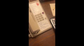 Hotel Phone Lets Visitors Dial to Hear an Elk Bugle